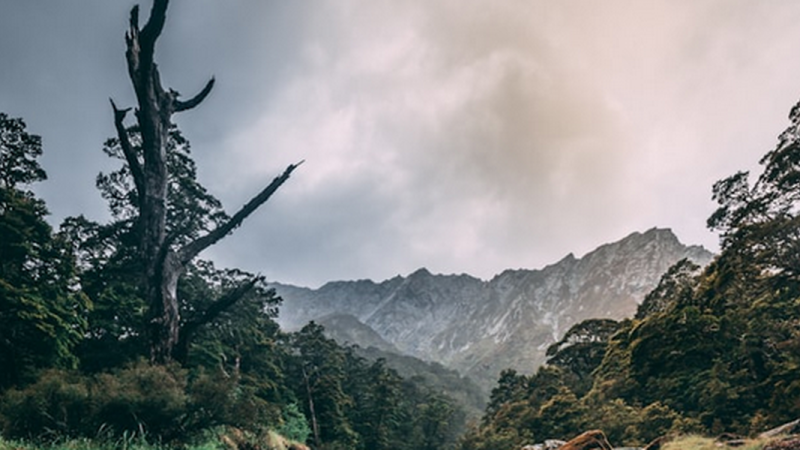 Desvendando o coração de Satanás: O que o Livro de Jó revela – Parte 2