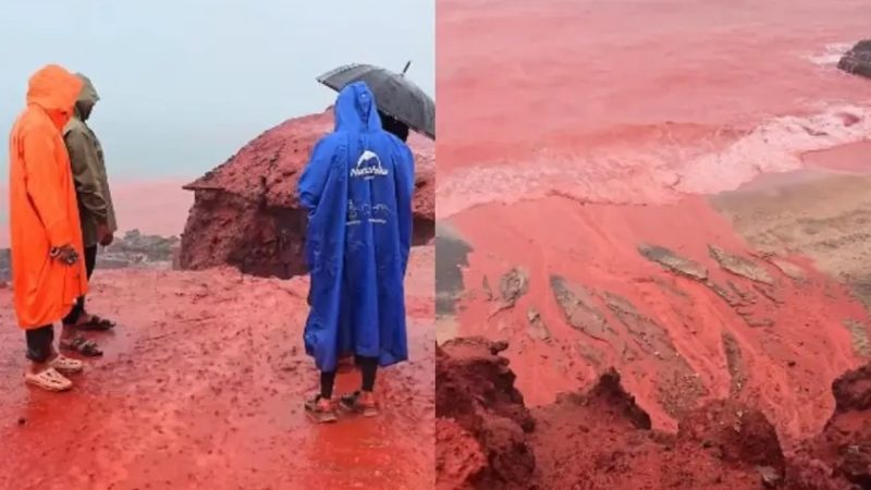 Praga bíblica? Fenômeno tinge de vermelho as águas do Golfo