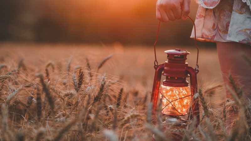 Retrospectiva da graça: o ano que Deus escreveu