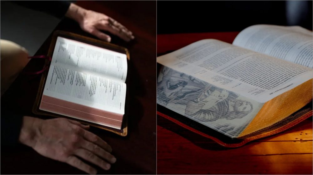 exemplares de luxo se tornam hobby de colecionadores